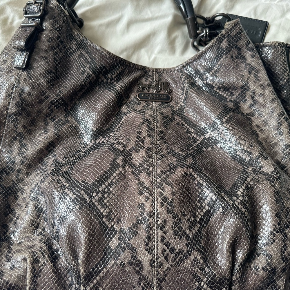 Coach Madison Lindsey Python Embossed Satchel 68014